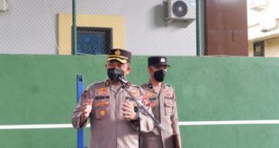 Birosdmsulsel